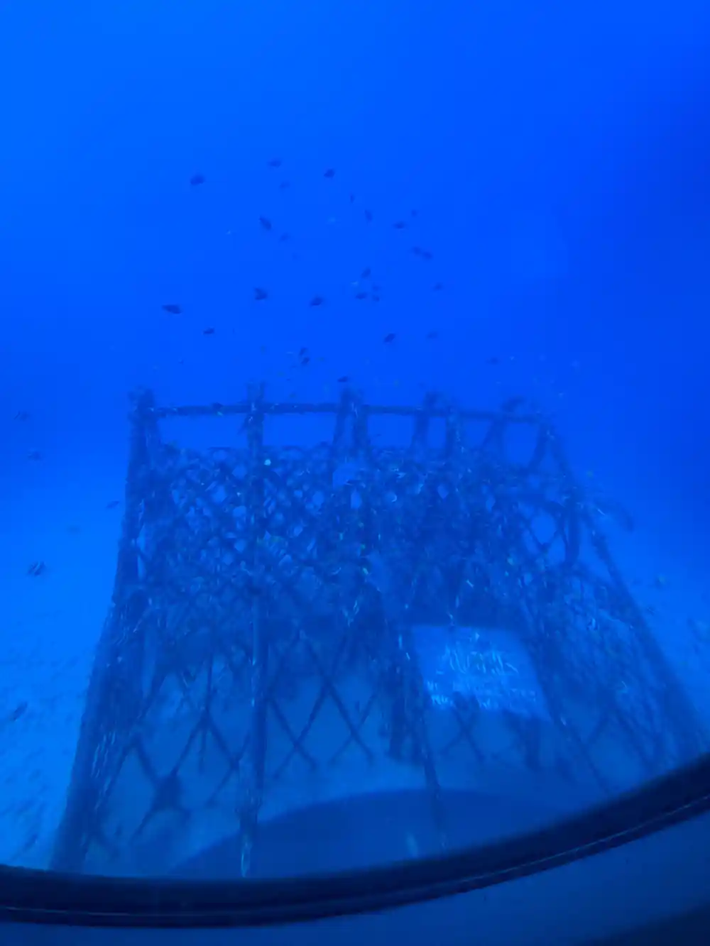 An artificial reef frame standing on the sand