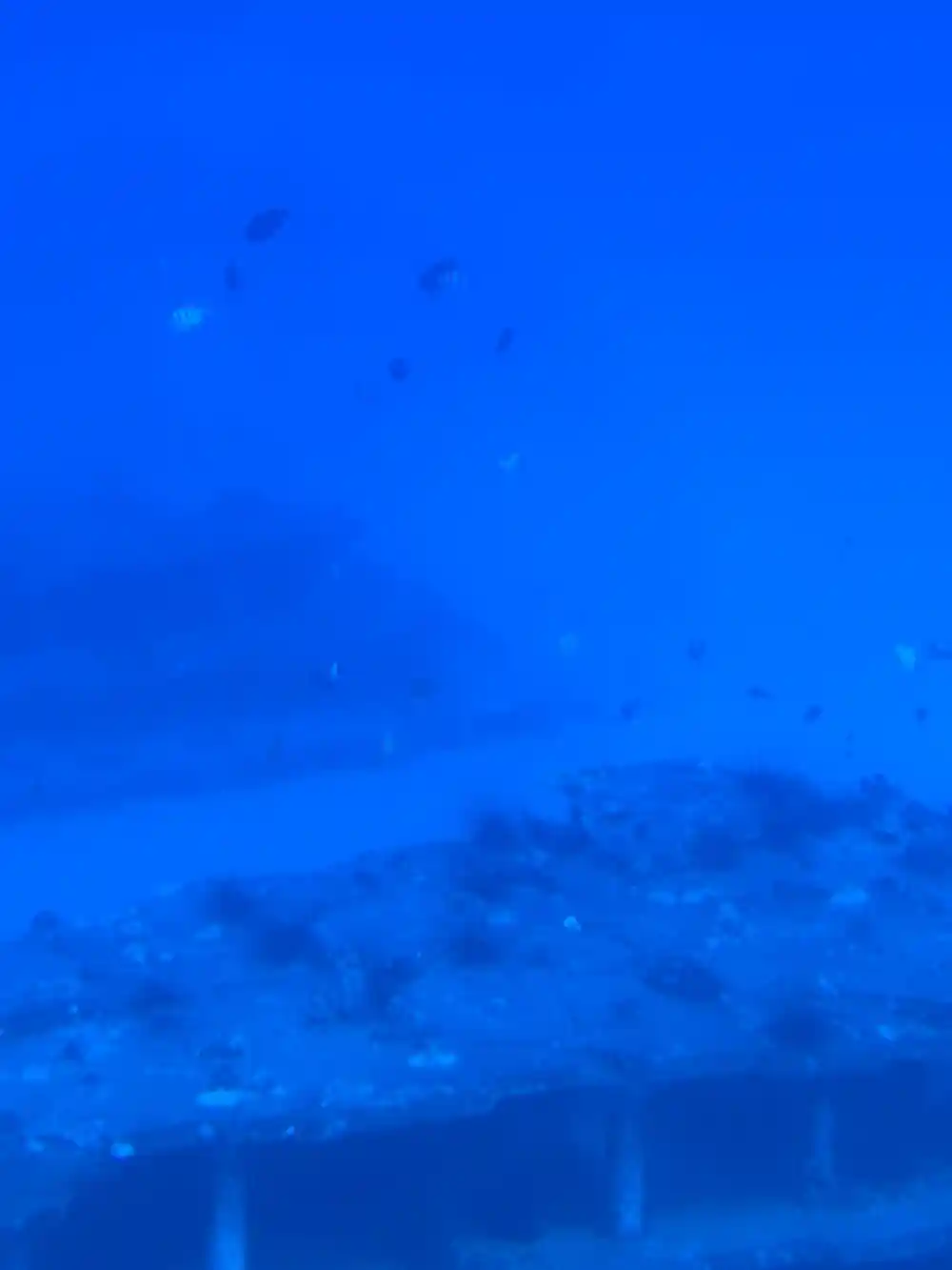 Debris and structure on the seabed at depth
