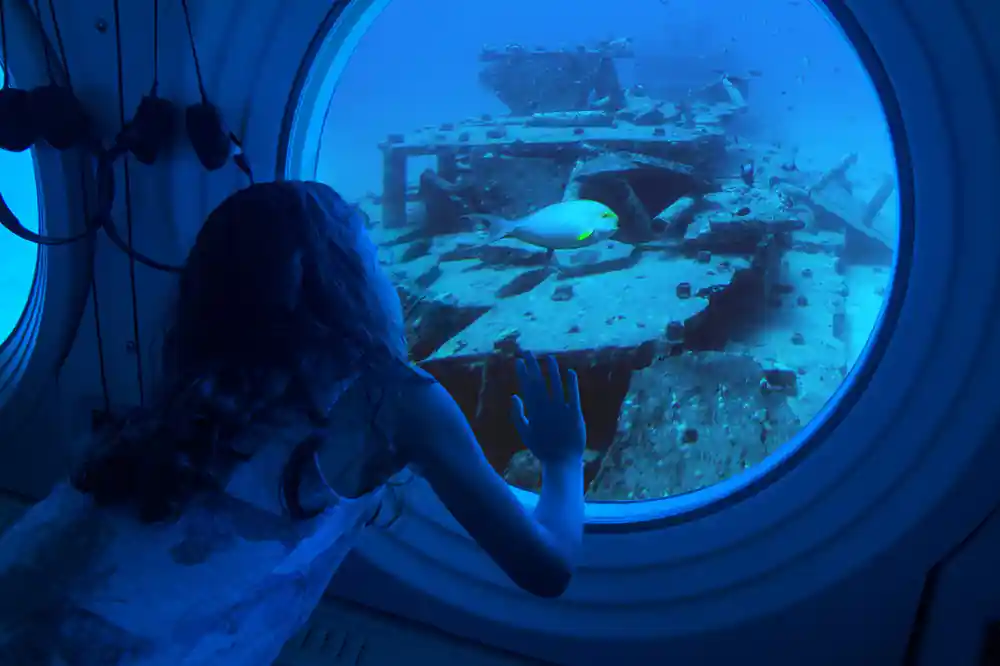 A passenger at a viewport with a wreck and a fish beyond the glass