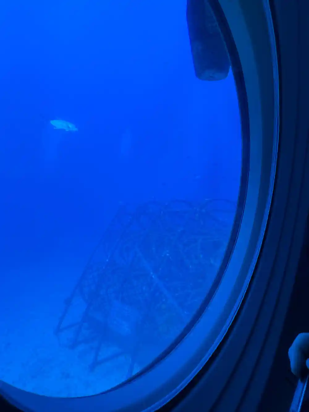 A steel reef frame on the seabed seen through a round viewport