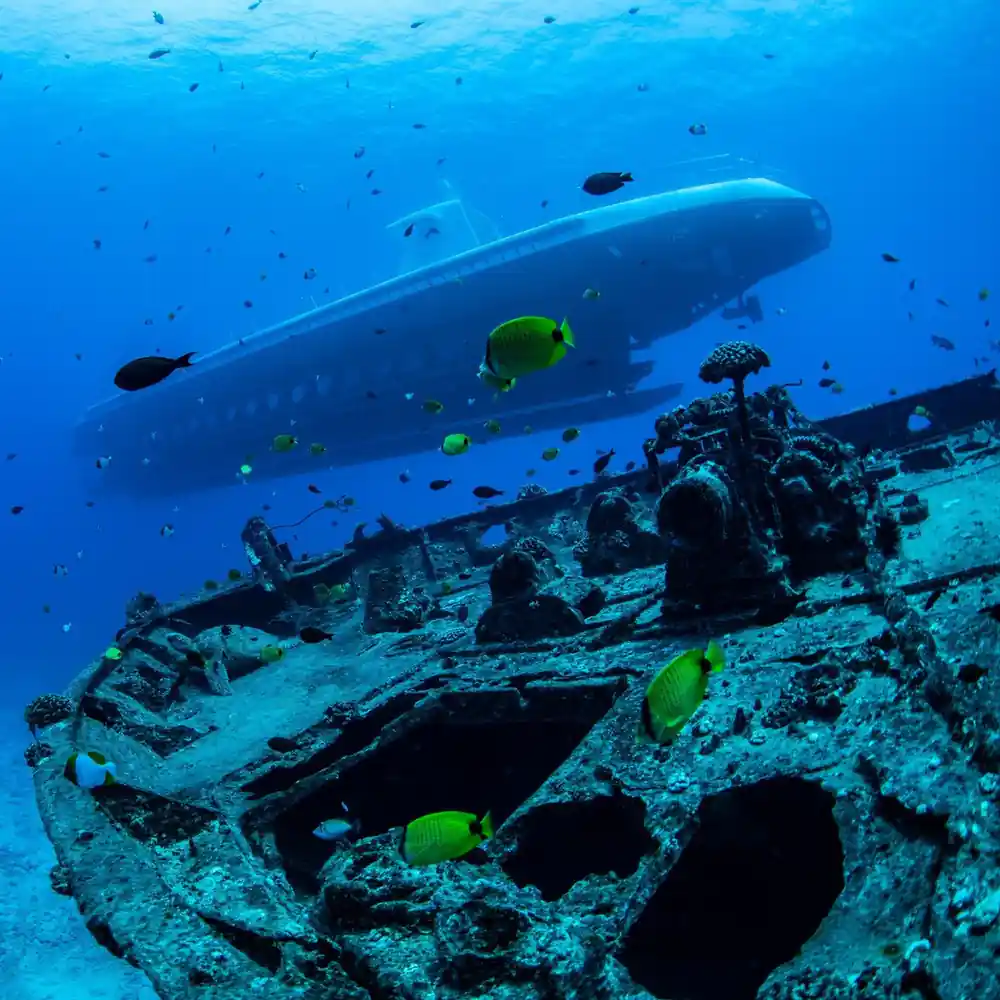 The submarine passing over a sunken vessel with yellow tangs around it